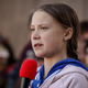 Illustration for article titled Please Meet Greta Thunberg the Beetle, Not to Be Confused With Greta Thunberg the Person